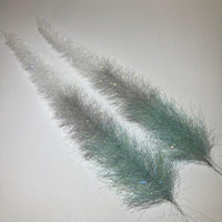 NSTB01Mackerel