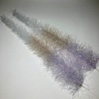 Silver scale purple, anchovy, white