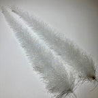 UV white
