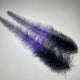 NSTB22PurpleMackerel