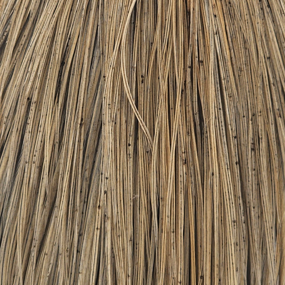 Dry Fly 1/2 Saddle - bronze | Whiting Farms | J Stockard