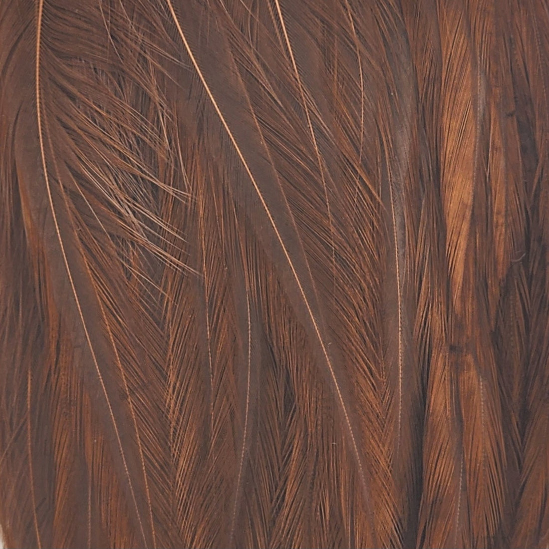 Dry Fly 1/2 Saddle - bronze | Whiting Farms | J Stockard