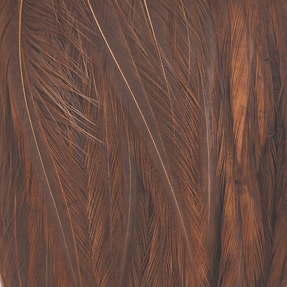 Naturalbrown_114536_114bca3d-883f-4bc0-87d5-653e83