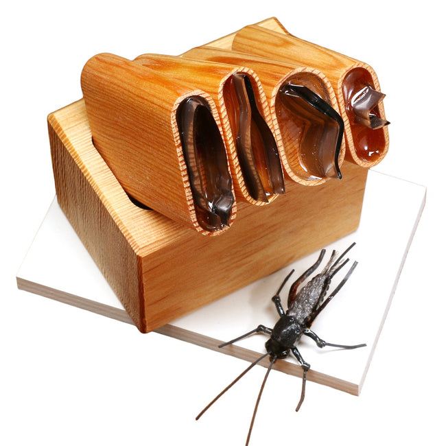 Tomsu's Supreme Cricket Set