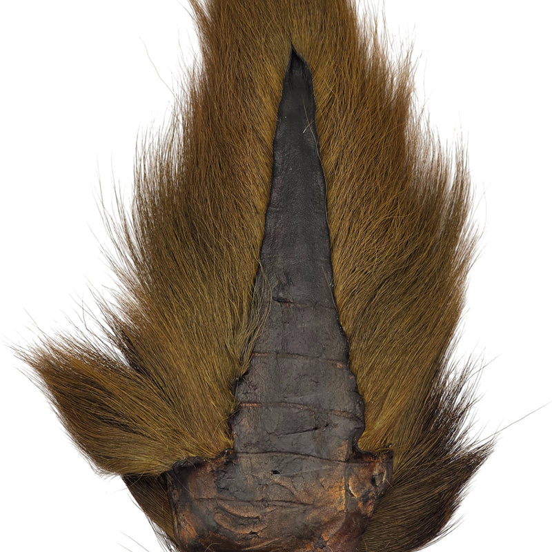 Bucktail