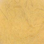 Pale Cream Dun