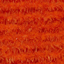 PhotoRoom-20231002_162812_11