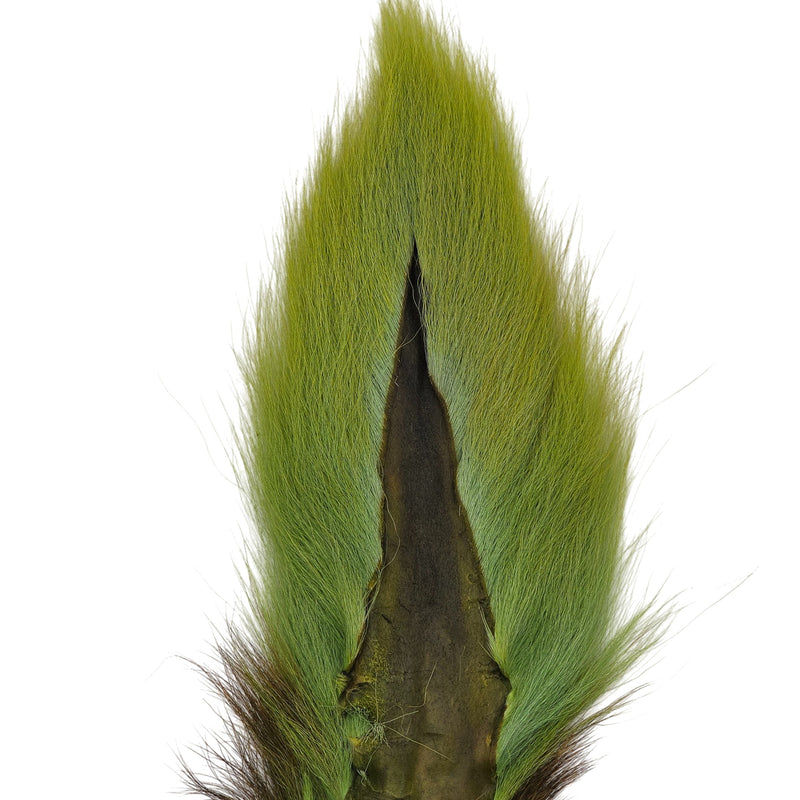 Bucktail