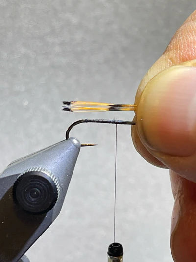 Tying Instructions - Step 2 - Royal Trude