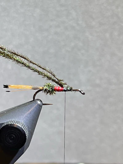 Tying Instructions - Step 5 - Royal Trude