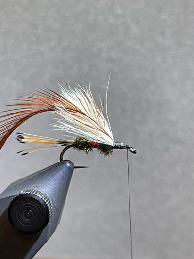Tying Instructions - Step 7 - Royal Trude