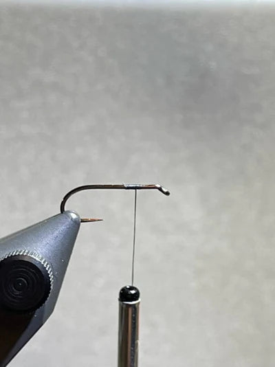 Tying Instructions - Step 1 - Royal Trude