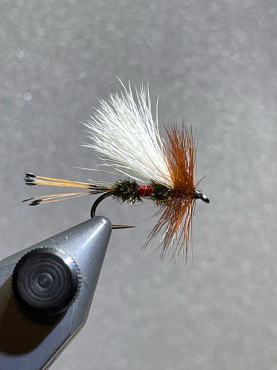 Tying Instructions - Step 8 - Royal Trude