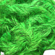 SBML49