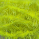 creeper-chenille_ATYE