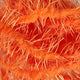 creeper-chenille_ORNG