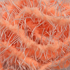 prawn