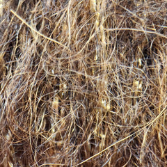krystal-core-leech-yarn_BRWN