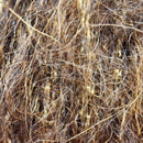 krystal-core-leech-yarn_BRWN