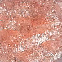 jelly-fritz_BISC