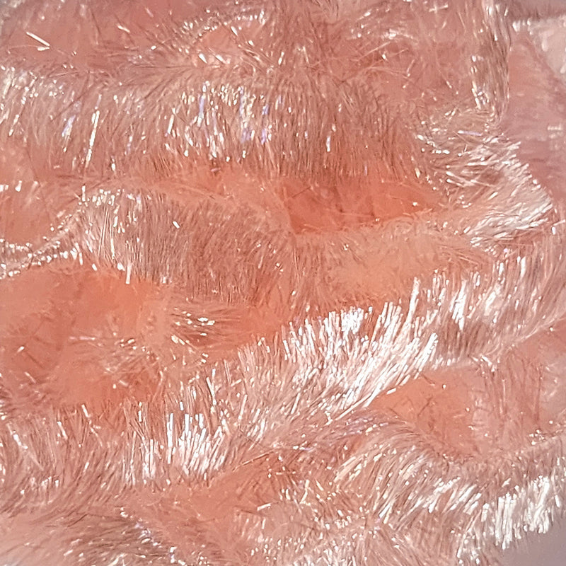 jelly-fritz_BISC