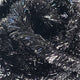 jelly-fritz_BLJA