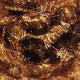 jelly-fritz_PELL