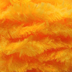 blushing sunburst
