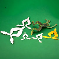 cohens-frog-legs