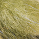steve-farrar-sf-blend_UVOL