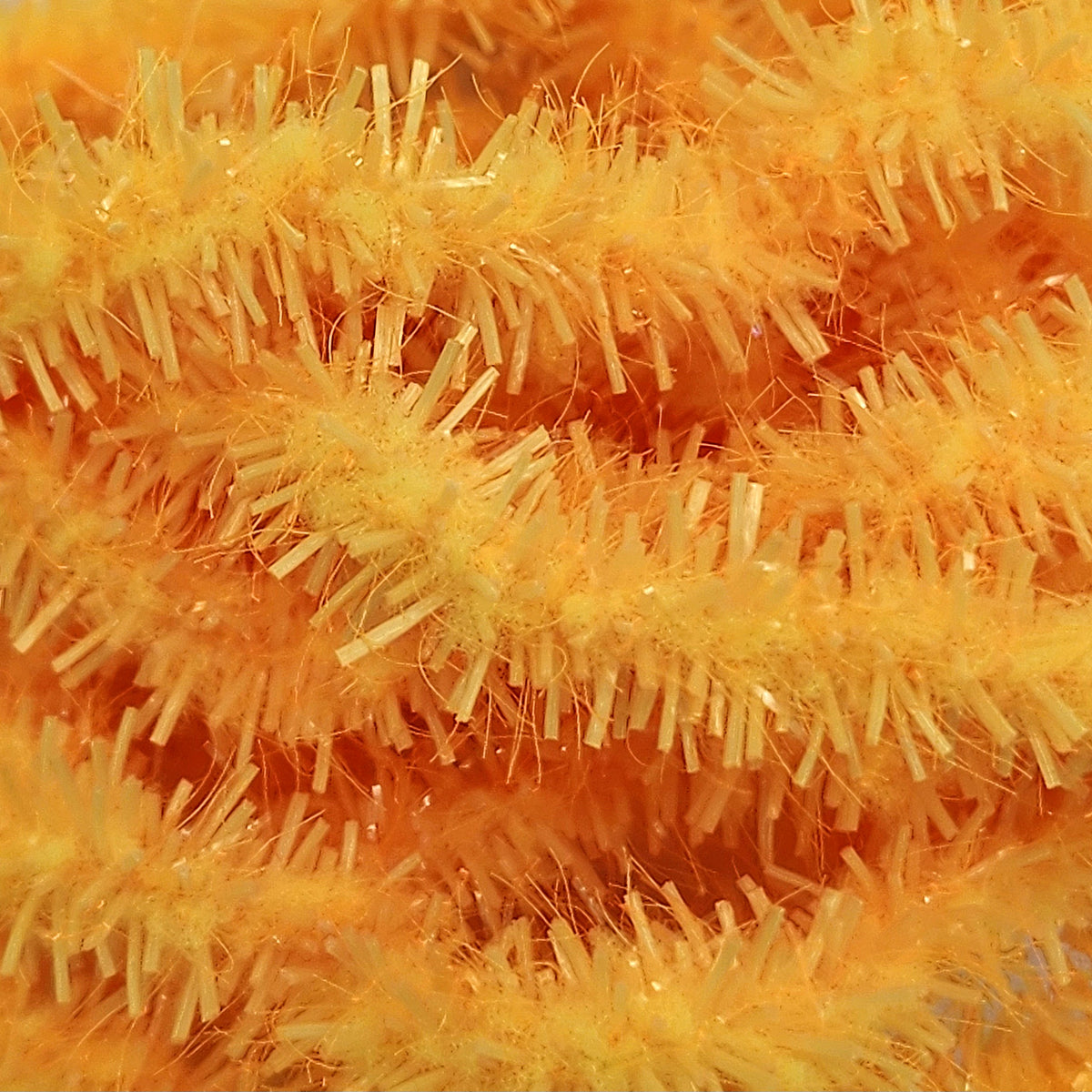 Predator9 Worm | Frozen North FF | J Stockard