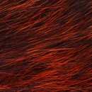 STOrange_2024-04-26T12_52_35