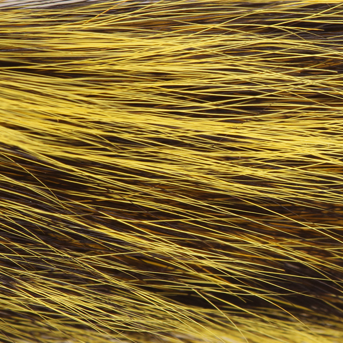 STYellow_2024-04-26T12_53_11