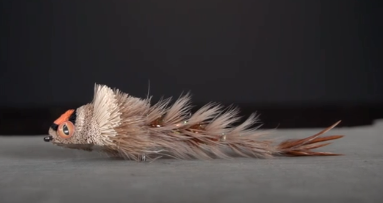 Sherwood's Micro Diver