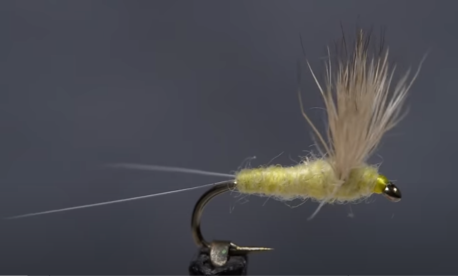  Sulphur Comparadun