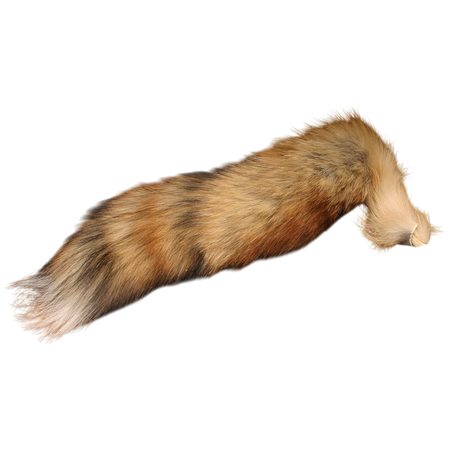 Complete Red Fox Tail