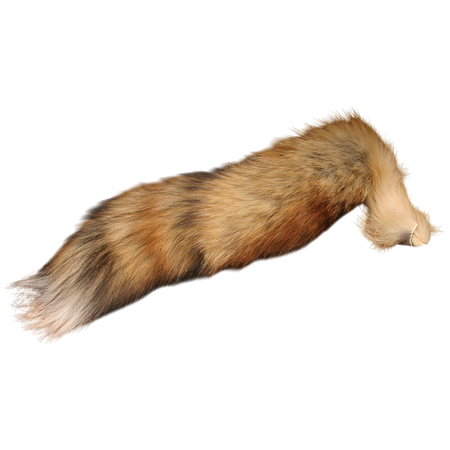 Complete Red Fox Tail