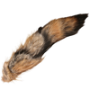 Complete Coyote Tail