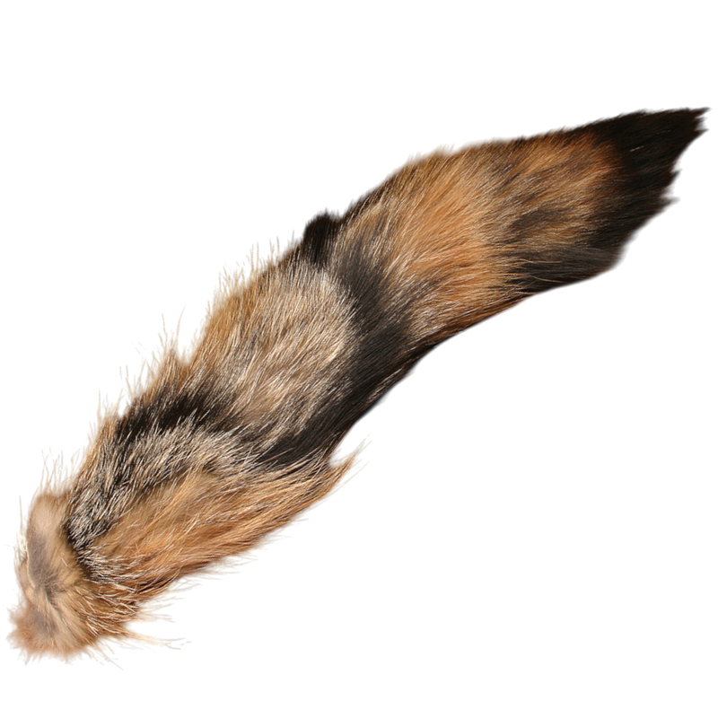 Complete Coyote Tail