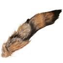 Complete Coyote Tail