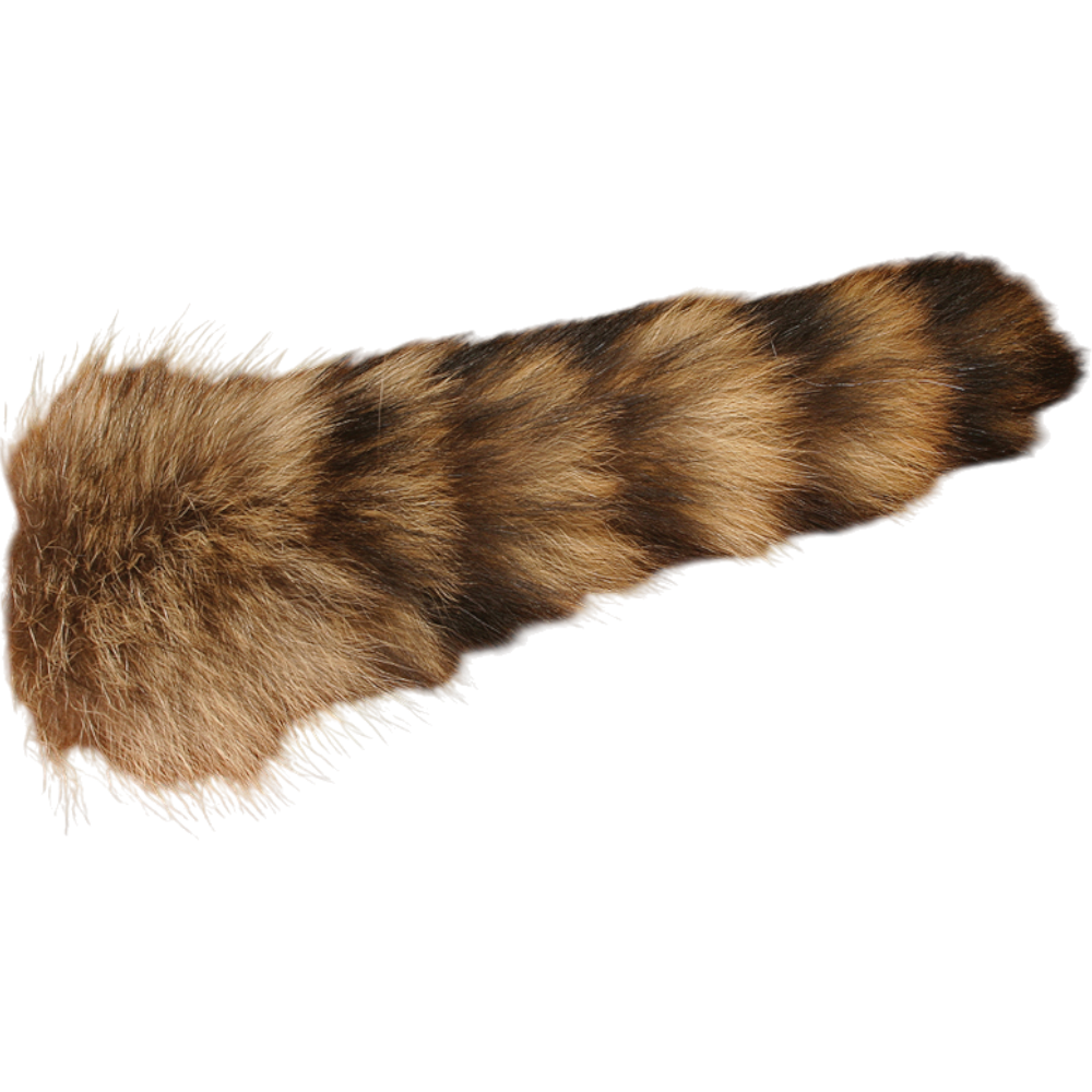 Complete Raccoon Tail