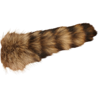 Complete Raccoon Tail