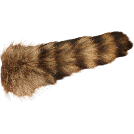 Complete Raccoon Tail