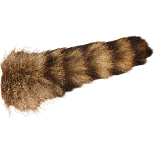 Complete Raccoon Tail