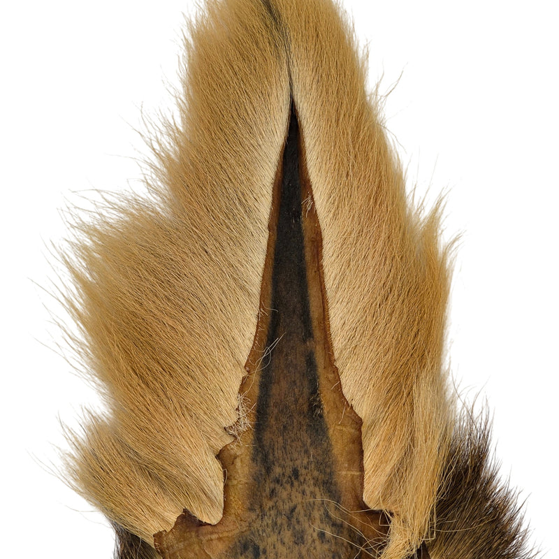 Bucktail