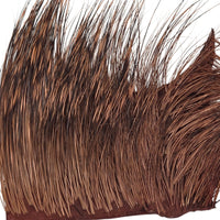 Peccary