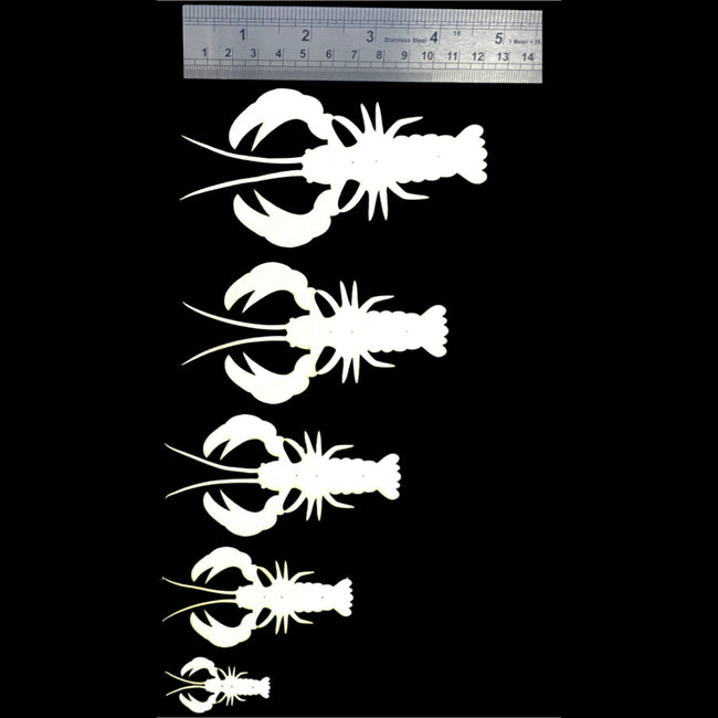 ABC Crawdads (Pre-Order)