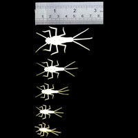 ABC Mayfly Nymphs