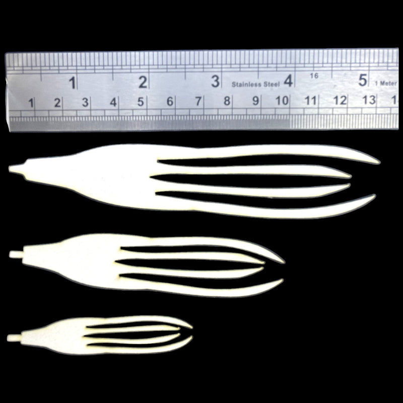 ABC Squid Tails