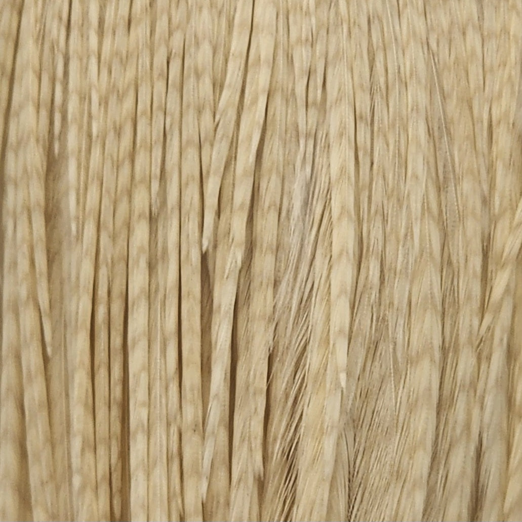 Whiting Farms | Bugger Pack – Premium Palmering Hackle– J